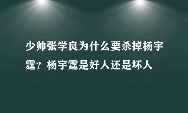 少帅张学良为什么要杀掉杨宇霆？杨宇霆是好人还是坏人