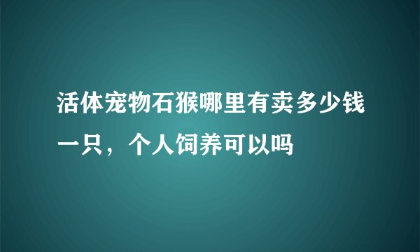 活体宠物石猴哪里有卖多少钱一只，个人饲养可以吗