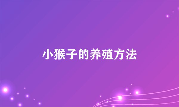 小猴子的养殖方法