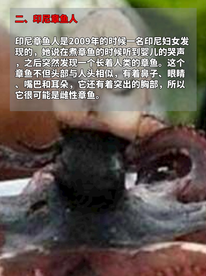 长着人脸的动物，见过的都惊呆了