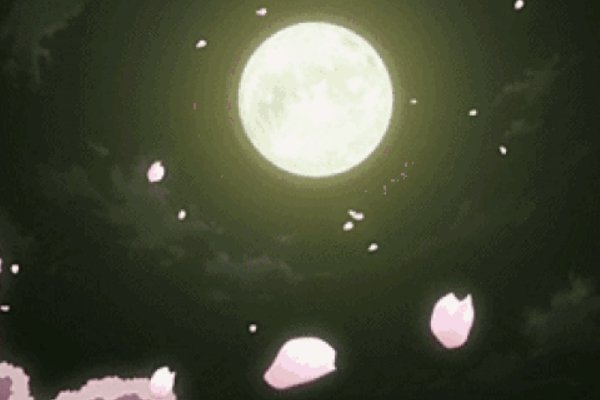 适合中秋节的歌曲有哪些