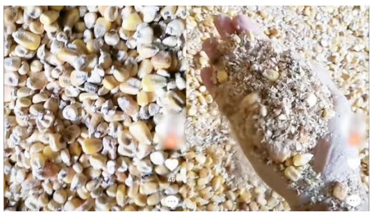 某公司回应粮食出现质量问题，这是怎么回事？