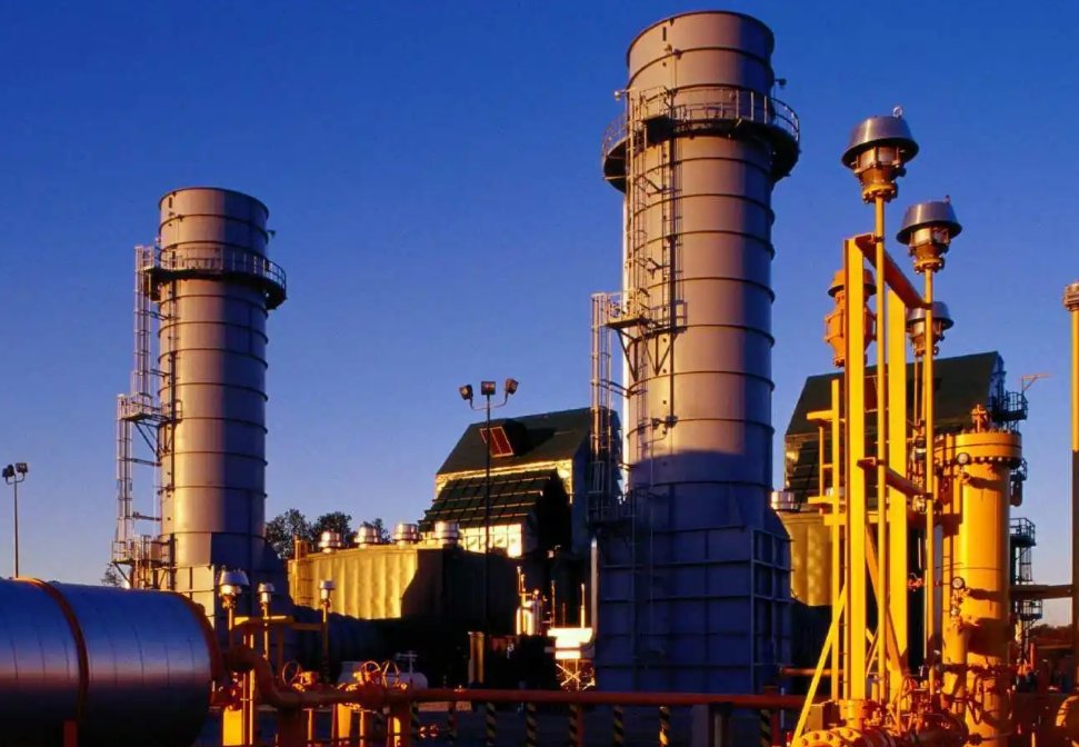 两高项目指的是什么