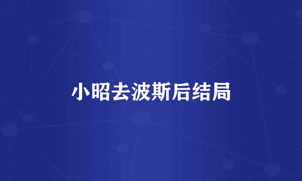 小昭去波斯后结局