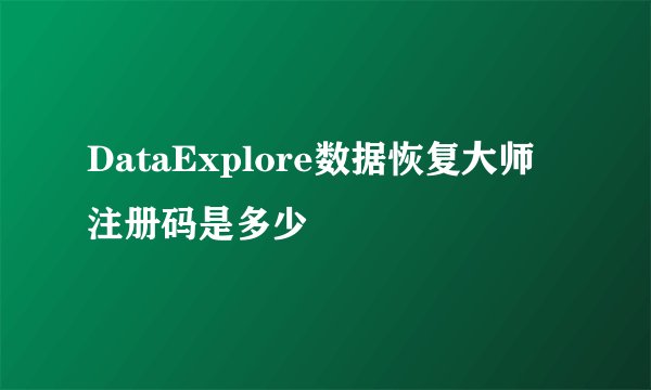 DataExplore数据恢复大师 注册码是多少