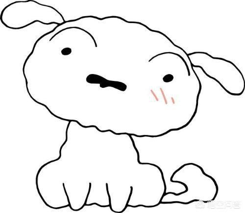 蜡笔小新家的狗狗叫什么？