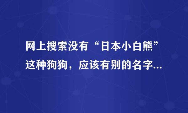 网上搜索没有“日本小白熊”这种狗狗，应该有别的名字，大概不是串串，请问懂狗的人它到底叫什么？