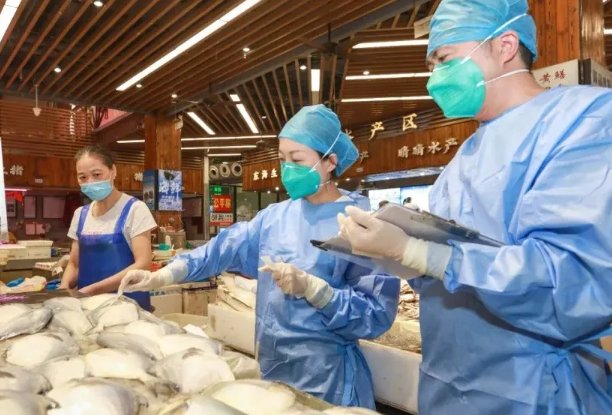 上海给大花鲢做核酸，掰开鱼嘴往里塞棉签，食品安全是否能得到保障？
