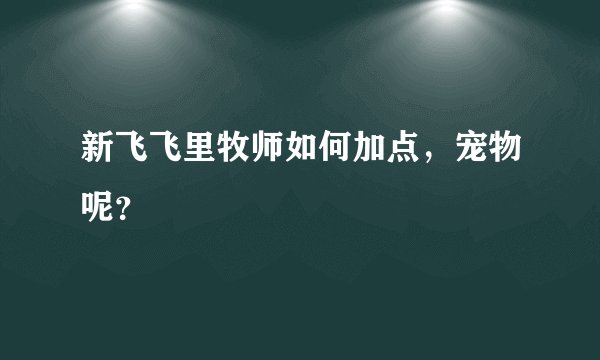 新飞飞里牧师如何加点，宠物呢？