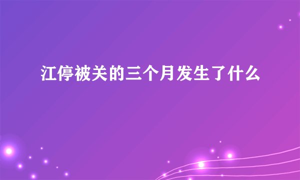 江停被关的三个月发生了什么