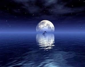 今晚的月亮真美是什么意思