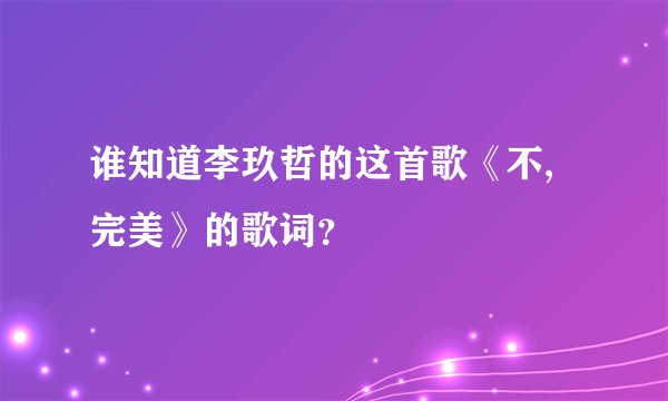 谁知道李玖哲的这首歌《不,完美》的歌词？