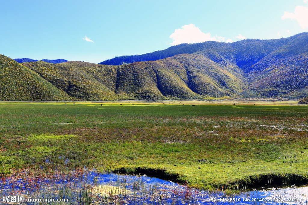云南盘鮈的生活习性