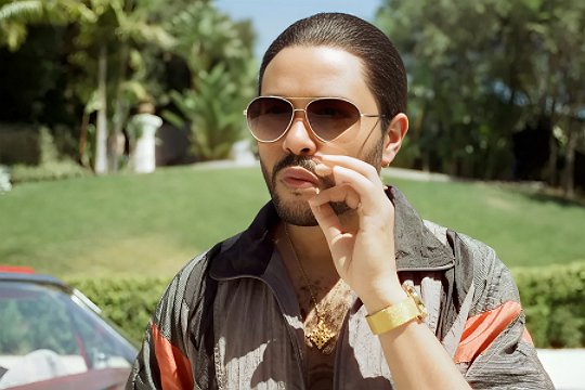 the idol美剧免费观看总共有几集