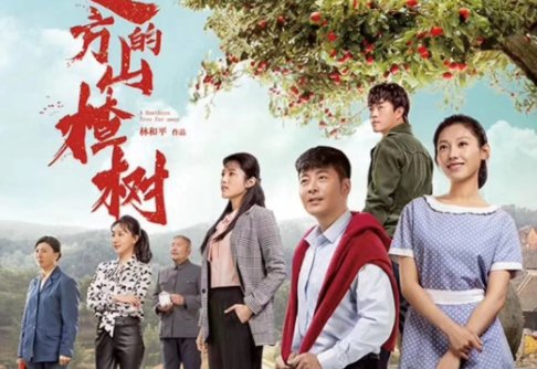 《远方的山楂树》大结局是什么？