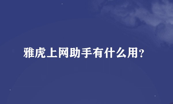 雅虎上网助手有什么用？