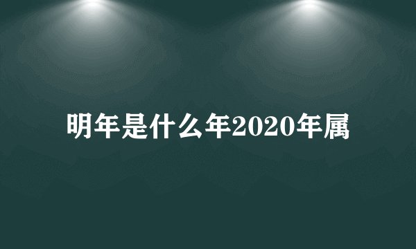 明年是什么年2020年属