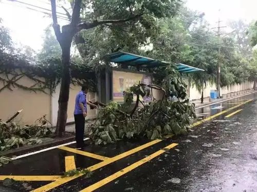 台风狮子山登陆海南，多地风雨大作，台风天气应该做好哪些防护？