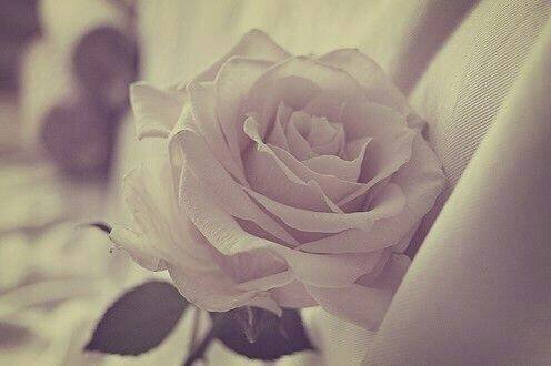 我男朋友在哪里