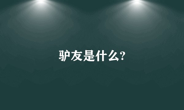 驴友是什么?