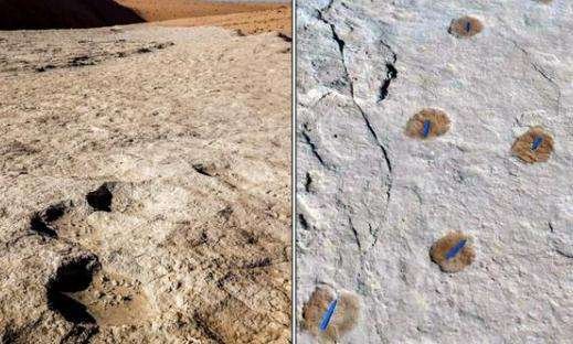 沙特发现距今12万年前人类脚印，具体是什么情况？