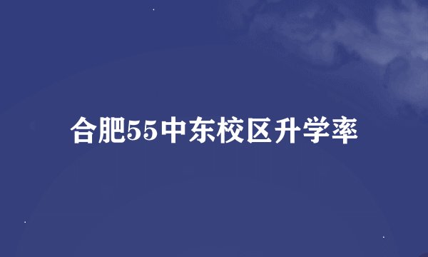 合肥55中东校区升学率