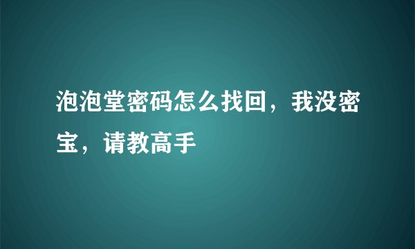 泡泡堂密码怎么找回，我没密宝，请教高手