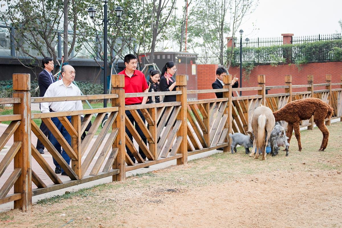 男子在动物园狮笼里发现一只金毛，这是怎么一回事？