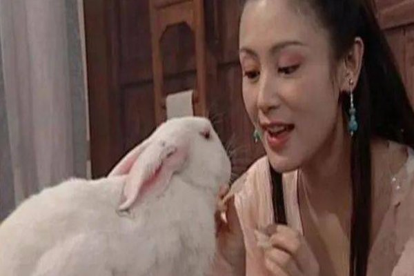 古风玉兔怎么画