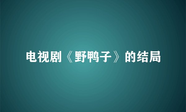 电视剧《野鸭子》的结局