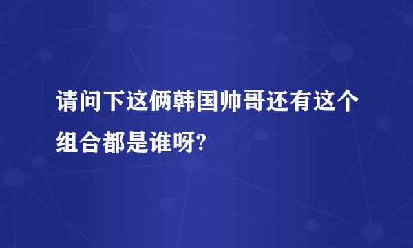 请问下这俩韩国帅哥还有这个组合都是谁呀?