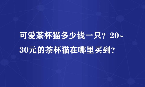 可爱茶杯猫多少钱一只？20~30元的茶杯猫在哪里买到？
