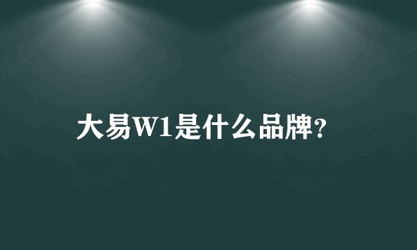 大易W1是什么品牌？