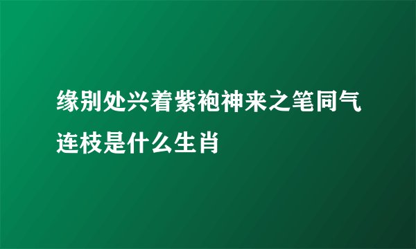 缘别处兴着紫袍神来之笔同气连枝是什么生肖