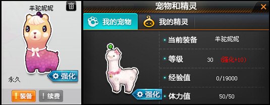 qq飞车羊驼妮妮坐骑需要强化几次