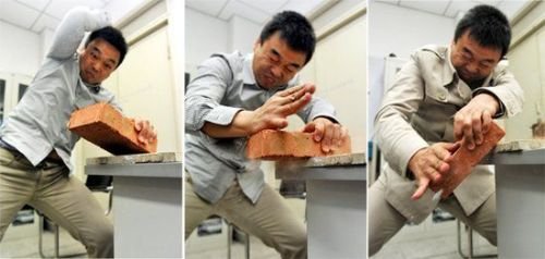 魏骁勇的劈砖教授