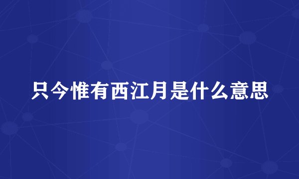只今惟有西江月是什么意思