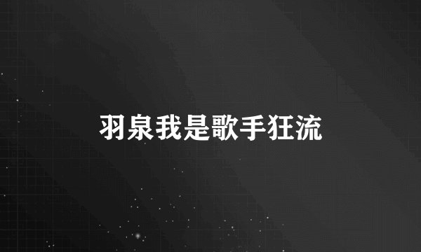 羽泉我是歌手狂流