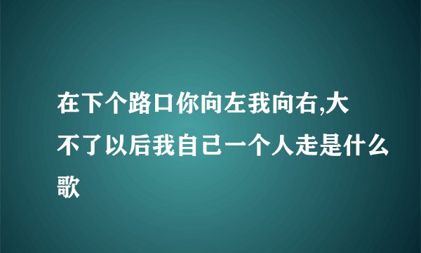 在下个路口你向左我向右,大不了以后我自己一个人走是什么歌