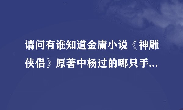 请问有谁知道金庸小说《神雕侠侣》原著中杨过的哪只手被郭芙砍断了？左手还是右手？
