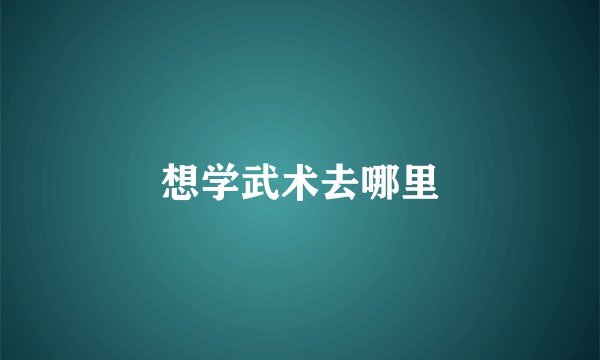 想学武术去哪里