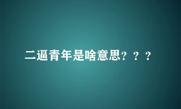 二逼青年是啥意思？？？