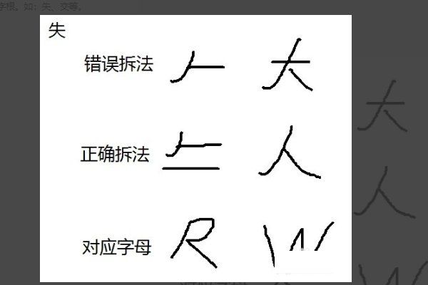 五笔打字 怎么拆字 ？遵守什么顺序？