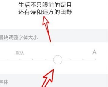 360浏览器界面字体突然变大 怎么调回去