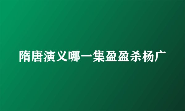 隋唐演义哪一集盈盈杀杨广