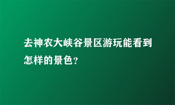 去神农大峡谷景区游玩能看到怎样的景色？