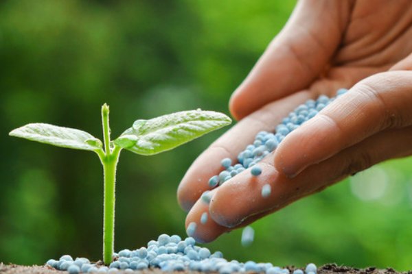 叶面肥排名榜前十名