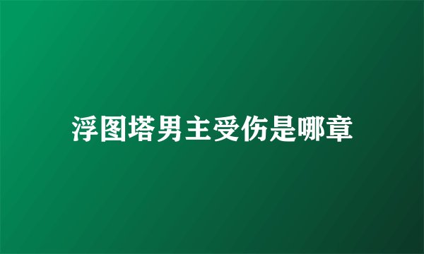 浮图塔男主受伤是哪章