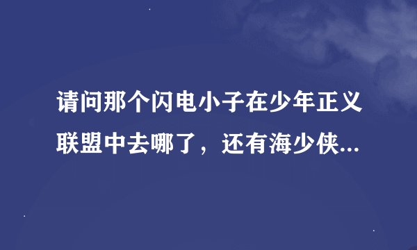 请问那个闪电小子在少年正义联盟中去哪了，还有海少侠，请帮帮我吧！
