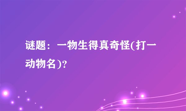 谜题：一物生得真奇怪(打一动物名)？